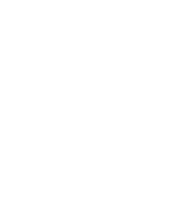 MDNA Logo