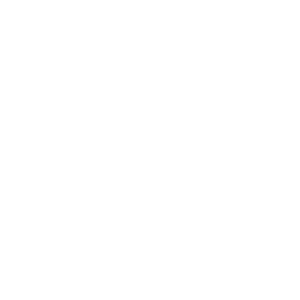 Data icon